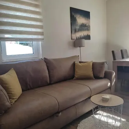 Borova Iglica 아파트 *