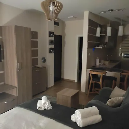 Borova Iglica 아파트