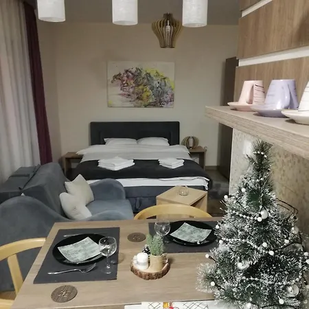 Borova Iglica 아파트 *