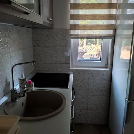 Borova Iglica Divčibare