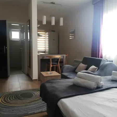 Borova Iglica 아파트 *