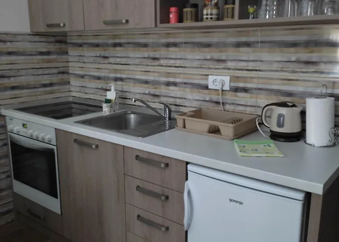 Lejlighed Borova Iglica