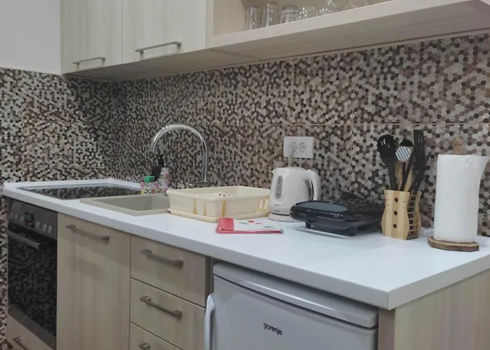 Lejlighed Borova Iglica *