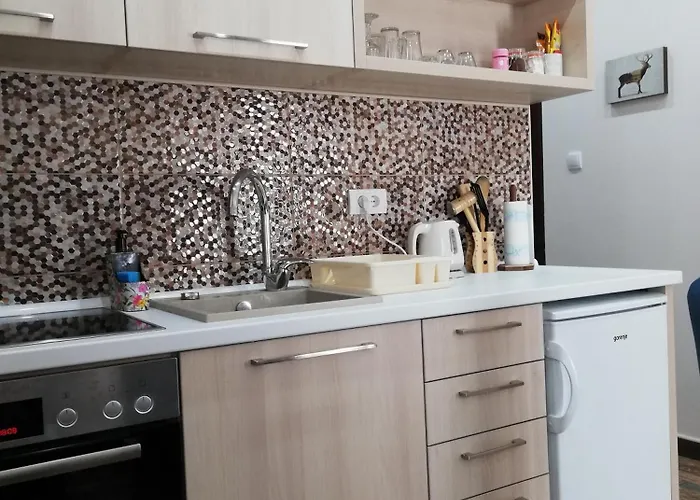 Borova Iglica Lejlighed *