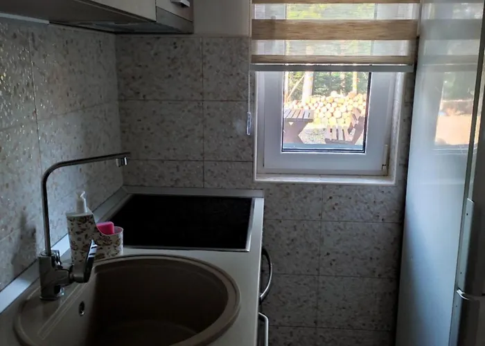 Borova Iglica Divčibare